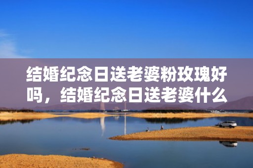 结婚纪念日送老婆粉玫瑰好吗，结婚纪念日送老婆什么礼物合适,送妈妈的礼物有哪些 结婚纪念日送啥礼物比较好