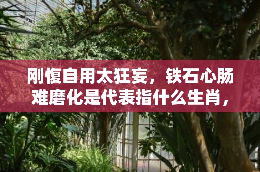 刚愎自用太狂妄，铁石心肠难磨化是代表指什么生肖，成语解释落实释义