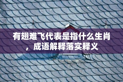 有翅难飞代表是指什么生肖，成语解释落实释义