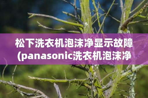 松下洗衣机泡沫净显示故障(panasonic洗衣机泡沫净)