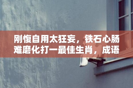 刚愎自用太狂妄，铁石心肠难磨化打一最佳生肖，成语解释落实释义插图