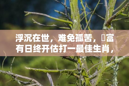 浮沉在世，难免孤苦，貧富有日终开估打一最佳生肖，成语解释落实释义插图