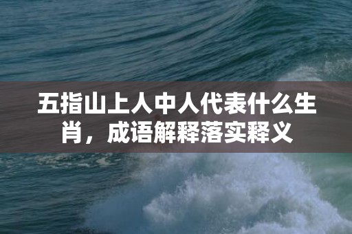 五指山上人中人代表什么生肖，成语解释落实释义插图