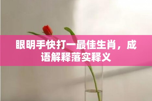 眼明手快打一最佳生肖，成语解释落实释义插图