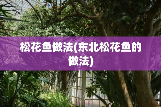 松花鱼做法(东北松花鱼的做法)