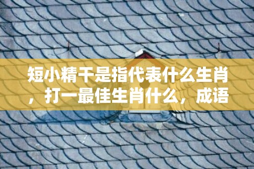 短小精干是指代表什么生肖，打一最佳生肖什么，成语解释落实释义插图