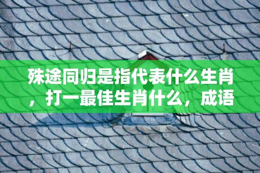 殊途同归是指代表什么生肖，打一最佳生肖什么，成语解释落实释义插图