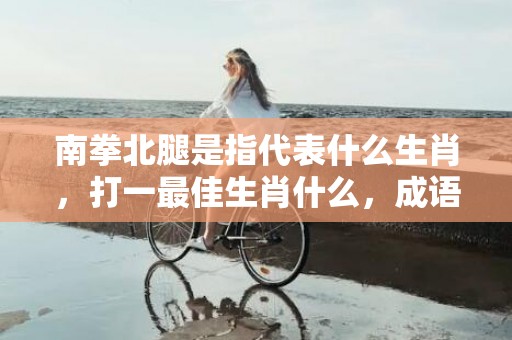 南拳北腿是指代表什么生肖，打一最佳生肖什么，成语解释落实释义插图
