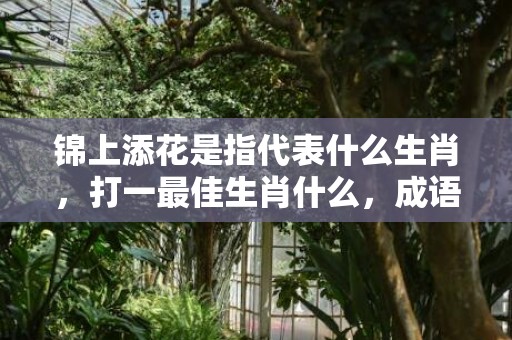 锦上添花是指代表什么生肖，打一最佳生肖什么，成语解释落实释义