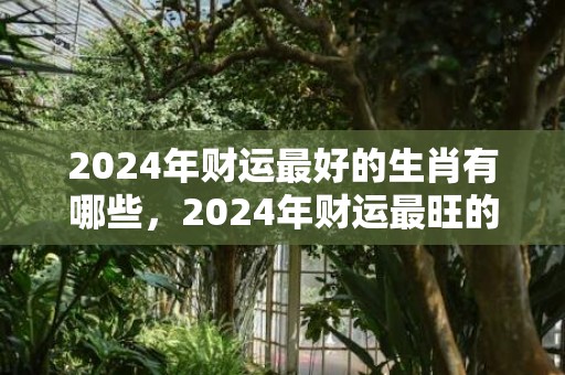 2024年财运最好的生肖有哪些，2024年财运最旺的生肖排行