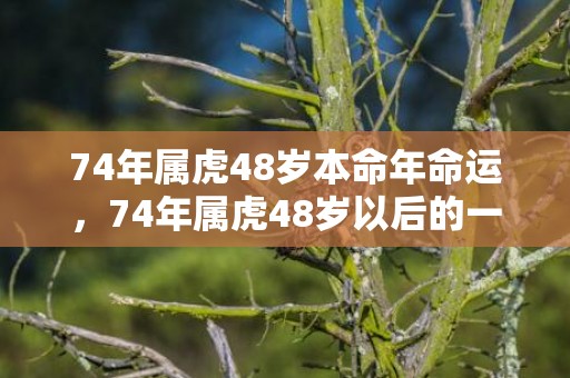 74年属虎48岁本命年命运，74年属虎48岁以后的一生命运