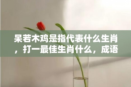 呆若木鸡是指代表什么生肖，打一最佳生肖什么，成语解释落实释义