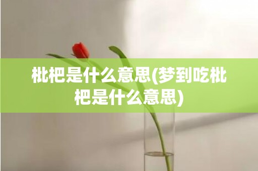 枇杷是什么意思(梦到吃枇杷是什么意思)