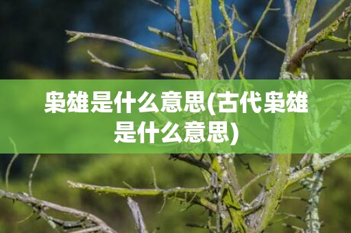 枭雄是什么意思(古代枭雄是什么意思)