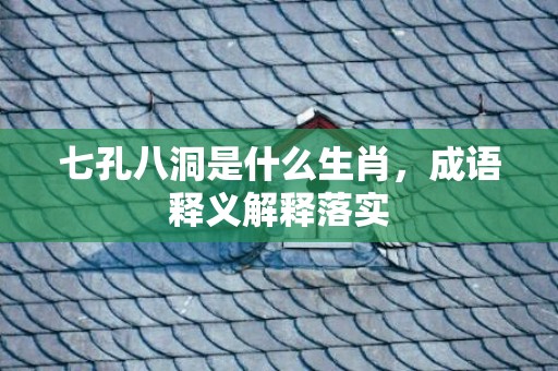 七孔八洞是什么生肖，成语释义解释落实插图