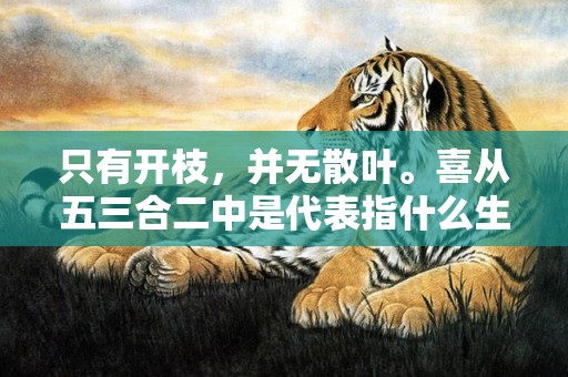 只有开枝，并无散叶。喜从五三合二中是代表指什么生肖，成语释义解释落实插图