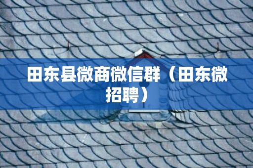 田东县微商微信群（田东微招聘）