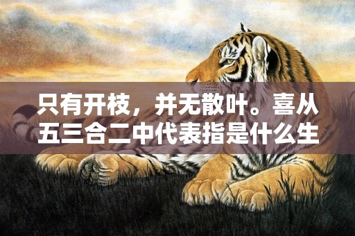 只有开枝，并无散叶。喜从五三合二中代表指是什么生肖，成语释义解释落实
