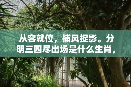  从容就位，捕风捉影。分明三四尽出场是什么生肖，成语释义解释落实