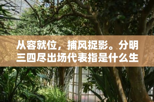从容就位，捕风捉影。分明三四尽出场代表指是什么生肖，成语释义解释落实插图