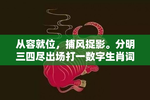从容就位，捕风捉影。分明三四尽出场打一数字生肖词语，成语释义解释落实插图
