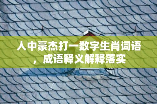 人中豪杰打一数字生肖词语，成语释义解释落实插图