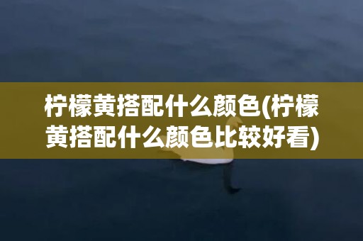 柠檬黄搭配什么颜色(柠檬黄搭配什么颜色比较好看)