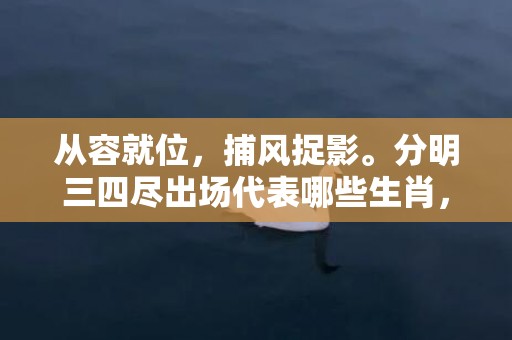 从容就位，捕风捉影。分明三四尽出场代表哪些生肖，成语释义解释落实插图