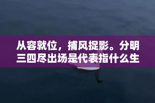 从容就位，捕风捉影。分明三四尽出场是代表指什么生肖，成语释义解释落实插图