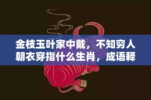 金枝玉叶家中戴，不知穷人朝衣穿指什么生肖，成语释义解释落实插图