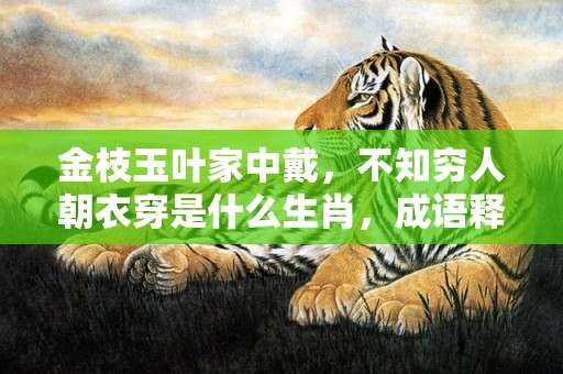 金枝玉叶家中戴，不知穷人朝衣穿是什么生肖，成语释义解释落实