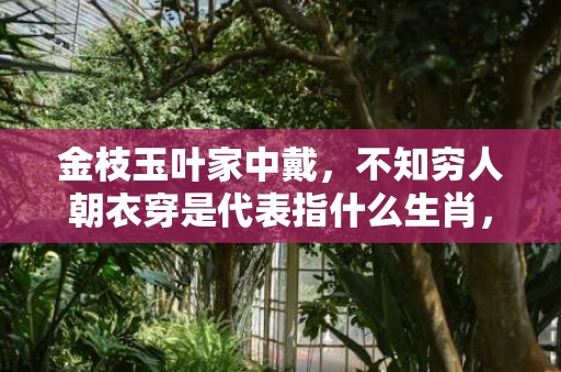 金枝玉叶家中戴，不知穷人朝衣穿是代表指什么生肖，成语释义解释落实