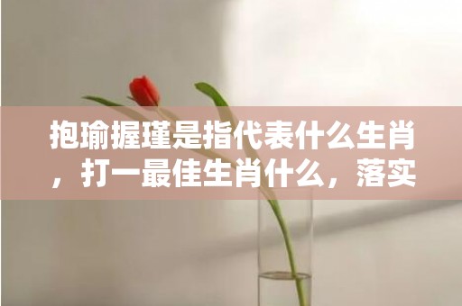 抱瑜握瑾是指代表什么生肖，打一最佳生肖什么，落实词语释义解释