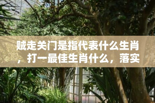 贼走关门是指代表什么生肖，打一最佳生肖什么，落实词语释义解释