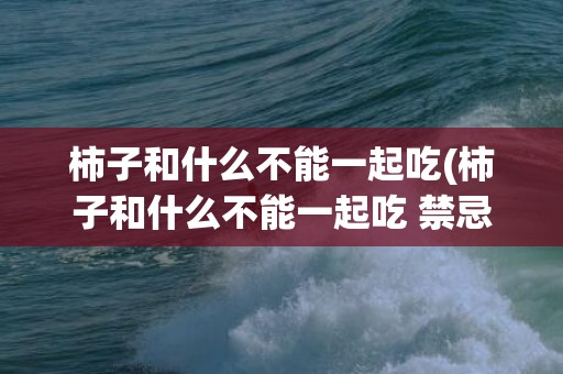 柿子和什么不能一起吃(柿子和什么不能一起吃 禁忌)