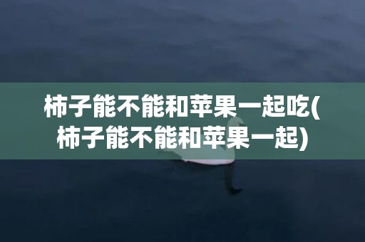 柿子能不能和苹果一起吃(柿子能不能和苹果一起)