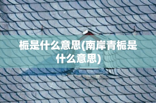 栀是什么意思(南岸青栀是什么意思)