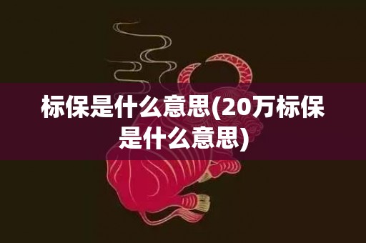 标保是什么意思(20万标保是什么意思)