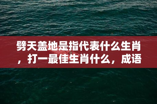 劈天盖地是指代表什么生肖，打一最佳生肖什么，成语解释落实释义