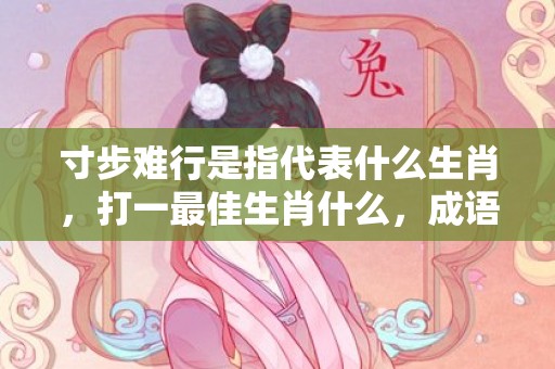寸步难行是指代表什么生肖，打一最佳生肖什么，成语解释落实释义插图