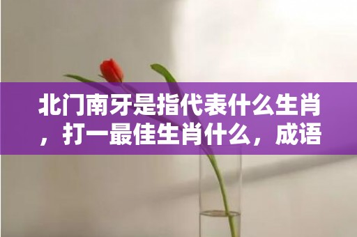 北门南牙是指代表什么生肖，打一最佳生肖什么，成语解释落实释义插图