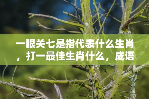 一眼关七是指代表什么生肖，打一最佳生肖什么，成语解释落实释义插图