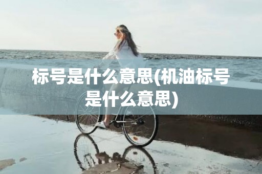 标号是什么意思(机油标号是什么意思)