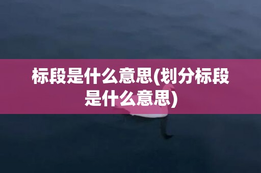 标段是什么意思(划分标段是什么意思)