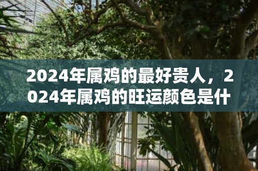2024年属鸡的最好贵人，2024年属鸡的旺运颜色是什么