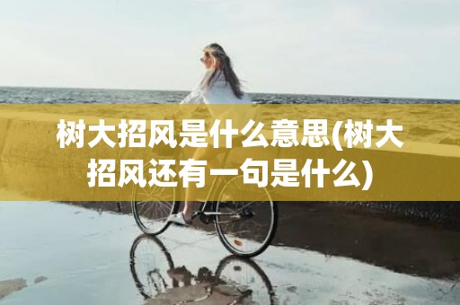 树大招风是什么意思(树大招风还有一句是什么)