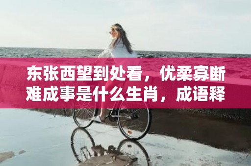 东张西望到处看，优柔寡断难成事是什么生肖，成语释义解释落实