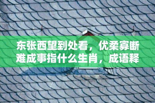 东张西望到处看，优柔寡断难成事指什么生肖，成语释义解释落实