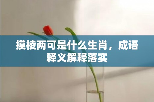 摸棱两可是什么生肖，成语释义解释落实插图