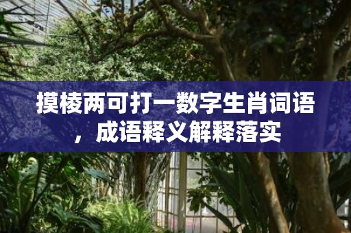 摸棱两可打一数字生肖词语，成语释义解释落实插图